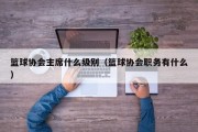 篮球协会主席什么级别（篮球协会职务有什么）