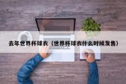 去年世界杯球衣（世界杯球衣什么时候发售）