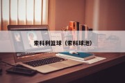 索科利篮球（索科球泡）