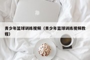 青少年篮球训练视频（青少年篮球训练视频教程）