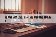 世界杯埃及状态（2022世界杯预选赛埃及）