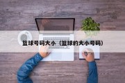 篮球号码大小（篮球的大小号码）