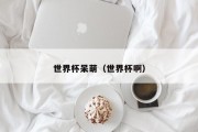 世界杯呆萌（世界杯啊）