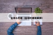 篮球小陀螺（篮球陀螺无解步）