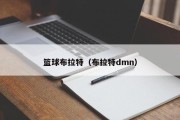 篮球布拉特（布拉特dmn）