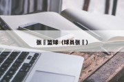 张喆篮球（球员张喆）