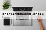 伊巴卡在戈贝尔罚球后亲吻篮球（伊巴卡采访）