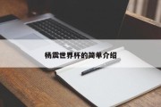 杨震世界杯的简单介绍