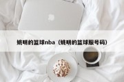 姚明的篮球nba（姚明的篮球服号码）