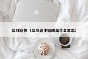 篮球违体（篮球违体犯规是什么意思）